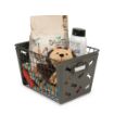 Picture of Macklin Bones Storage Basket Medium IG